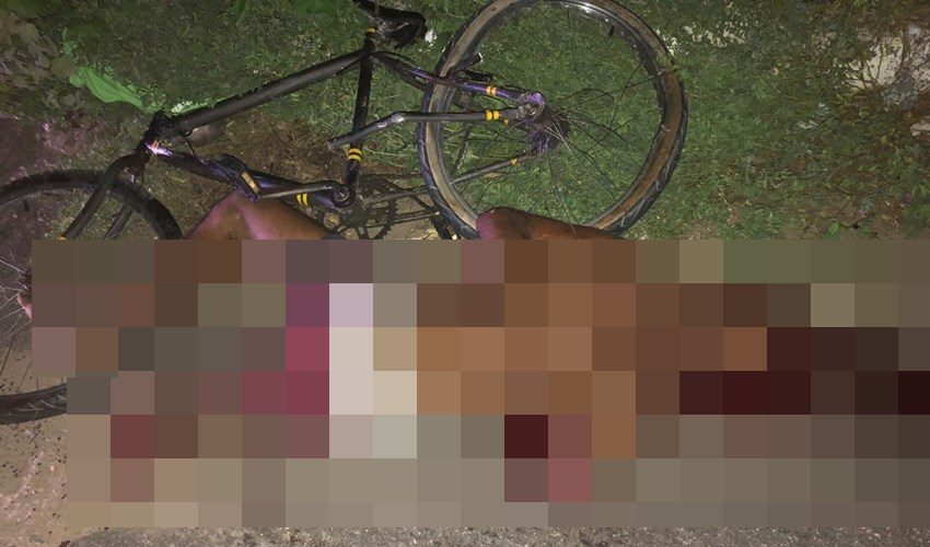 128f13c4-c674-41a5-beb0-37b61cf132b6